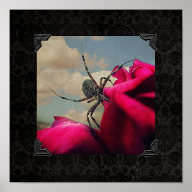 Spinne und Rote Rose Halloween Poster (Vorne)