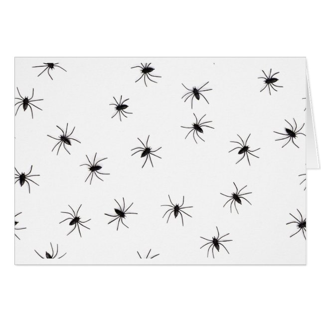 Spinnen (Vorderseite (Horizontal))