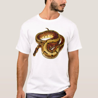 Spinnen-Ball-Pythonschlange T-Shirt