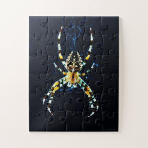 Spinnen des europäischen Gartens 11x14 30pc jpcna