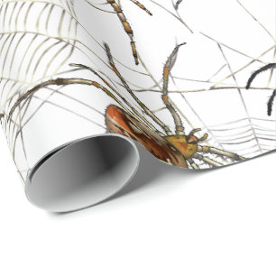 Spinnen fangen MattPackpapier, 30" x 6' Geschenkpapier