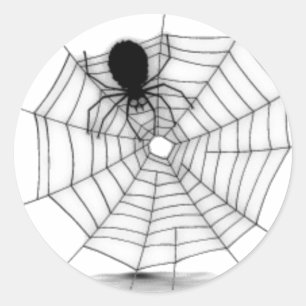 Spinnen in seinem Web Runder Aufkleber
