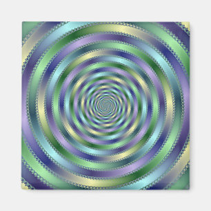 Spinnen Magnet