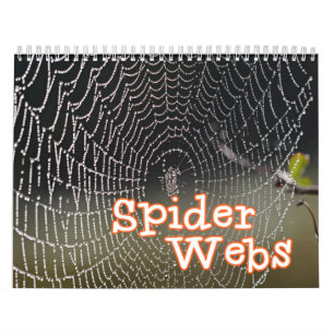 Spinnen-Netz-Wandkalender Kalender