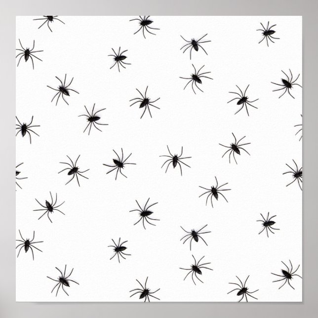 Spinnen Poster (Vorne)