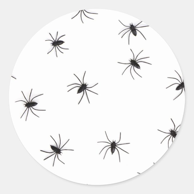 Spinnen Runder Aufkleber (Vorderseite)