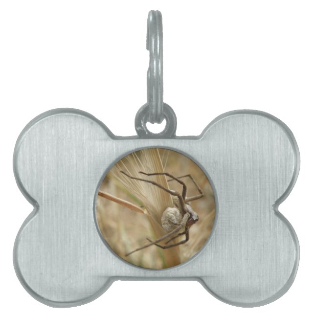 Spinnen und Eierstich Tiermarke (Vorderseite)