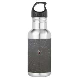 Spinnen Wasserflasche