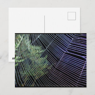 Spinnennetz bei Nacht Postkarte