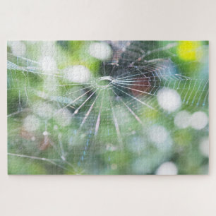Spinnennetz-Foto-Puzzle