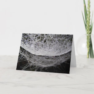 Spinnennetze mit Taube, Wassertropfhahn Karte