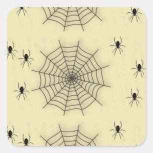 Spinnennetze und Spinnen an der Wand Quadratischer Aufkleber