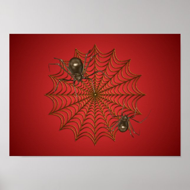 Spinnenposter Poster (Vorne)
