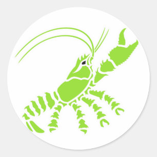 Spinnentiere Runder Aufkleber