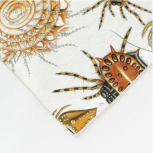 Spinnentiere von Haeckel, alte Spinnenillustration Fleecedecke