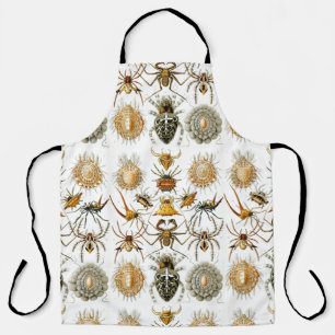 Spinnentiere von Haeckel, alte Spinnenillustration Schürze
