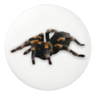 Spinnenzug Keramikknauf