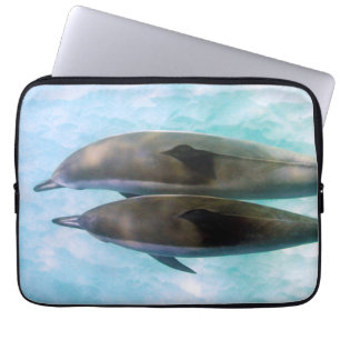 Spinner-Delphine   Oahu Hawaii Laptopschutzhülle