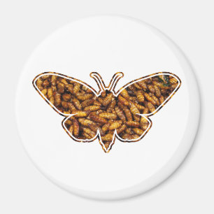 Spinner Mori Silk Motten-Lebenszyklus-Silhouette Magnet