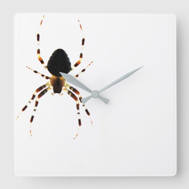 Spinnwand Quadratische Wanduhr (Vorderseite)