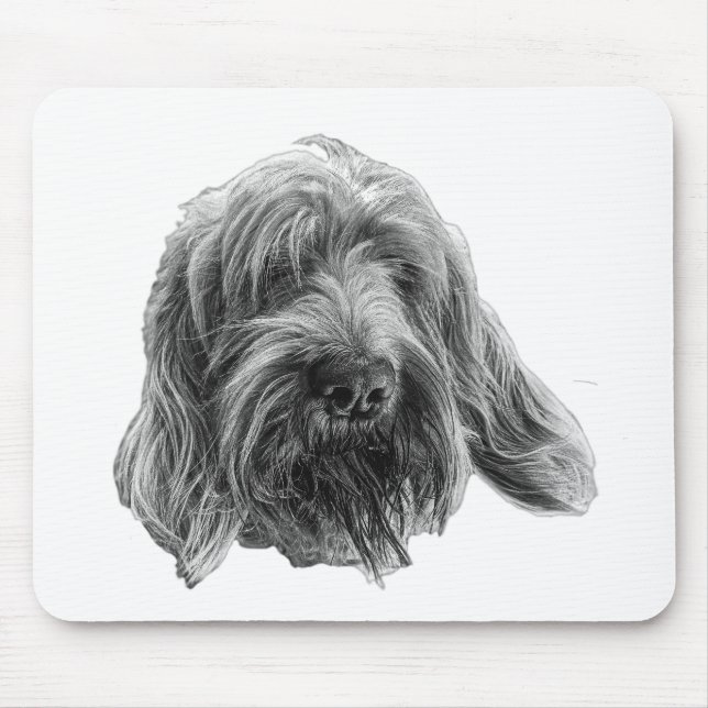Spinone-Arbeitswiese Mousepad (Vorne)