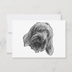 Spinone Art Dankeschön Dankeskarte