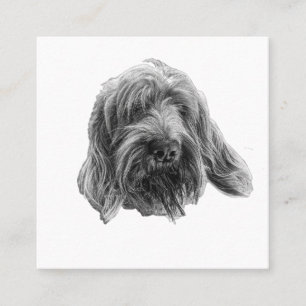 Spinone Gentle Trade Quadratische Visitenkarte