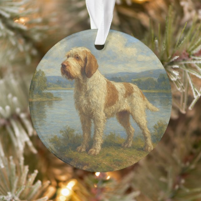 Spinone Italiano (Arbre)