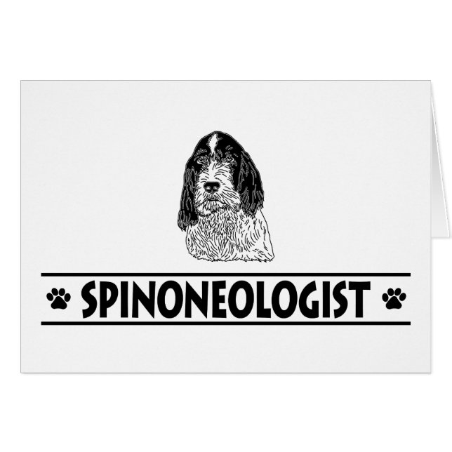 Spinone Italiano (Vorderseite (Horizontal))