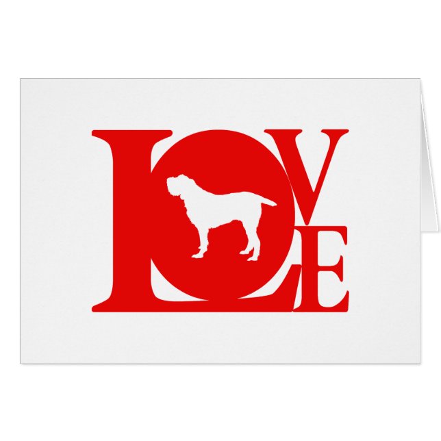 Spinone Italiano (Devant horizontal)