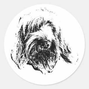 Spinone Italiano Aufkleber – Minimalistisches Hund