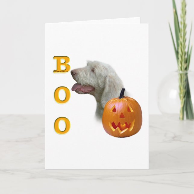 Spinone Italiano Boo Karte (Vorderseite)