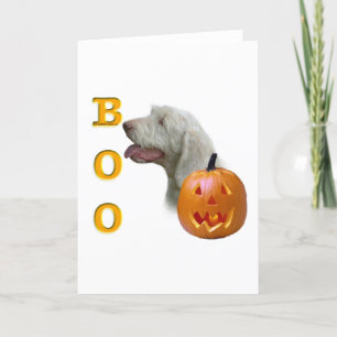 Spinone Italiano Boo Karte
