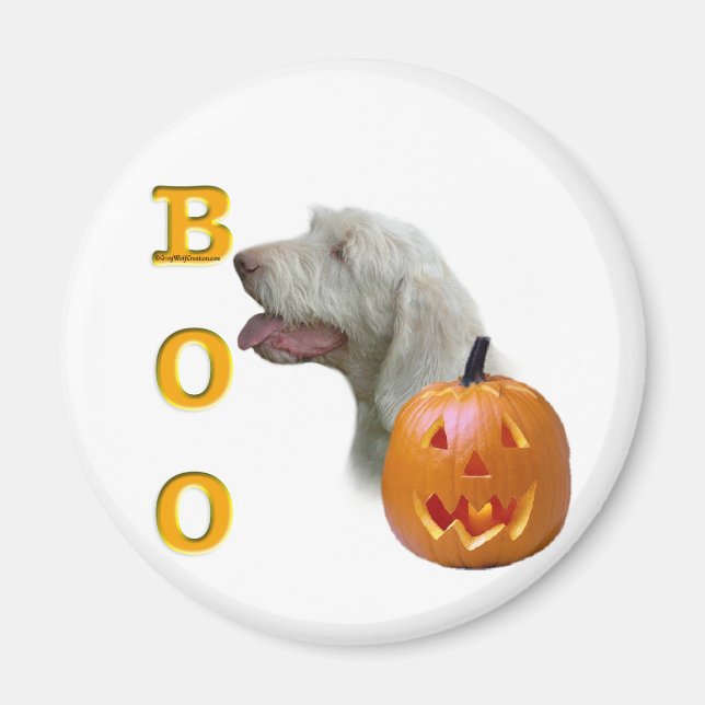 Spinone Italiano Boo Magnet (Vorne)