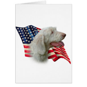 Spinone Italiano Flag