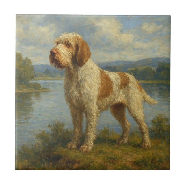 Spinone Italiano Fliese (Vorderseite)