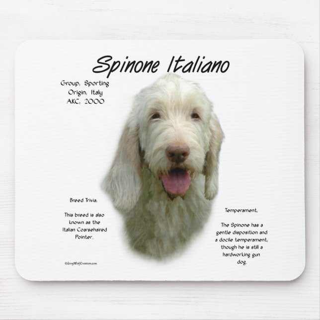 Spinone Italiano Geschichtsdesign Mousepad (Vorne)