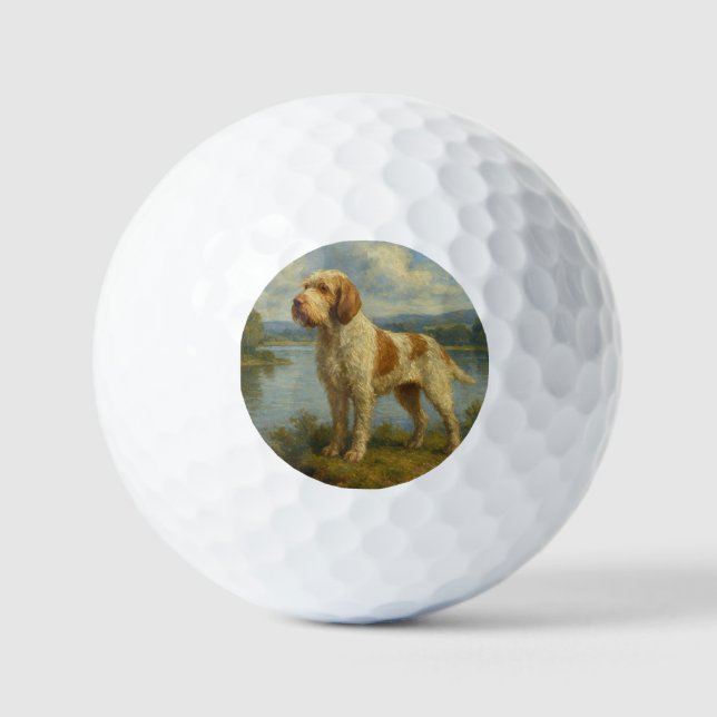 Spinone Italiano Golfball (Vorderseite)