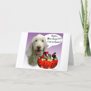 Spinone Italiano Halloween Candy Karte