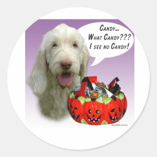Spinone Italiano Halloween Candy Runder Aufkleber