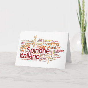 Spinone Italiano Karte