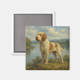 Spinone Italiano Magnet
