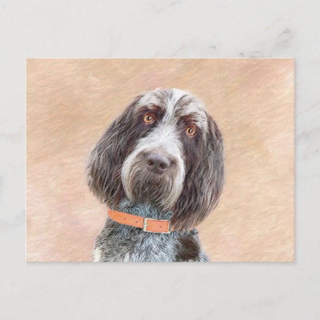 Spinone Italiano Malerei - Niedliche Original Dog  Postkarte (Vorderseite)