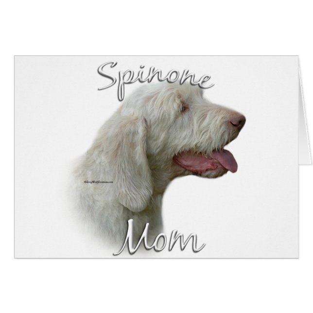 Spinone Italiano Maman 2 (Devant horizontal)