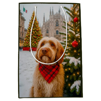 Spinone Italiano Mittlere Geschenktüte