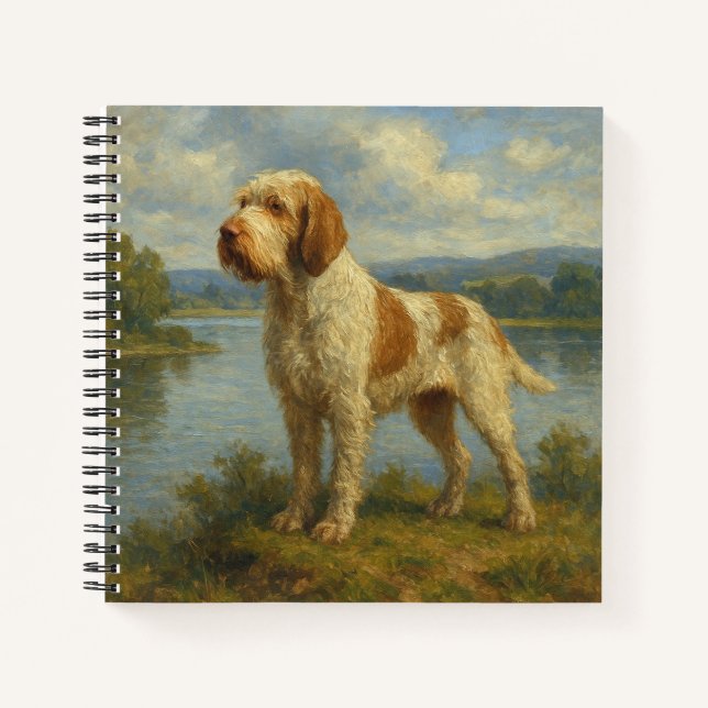Spinone Italiano Notizbuch (Vorderseite)