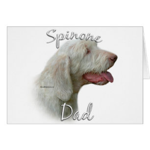 Spinone Italiano Papa 2