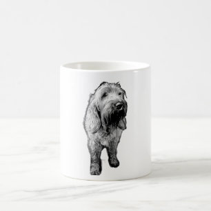 Spinone Italiano Tasse – Seelenvolle Hundefotograf