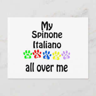 Spinone Italiano Walks Design Postkarte