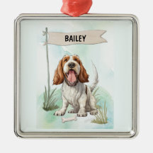 Spinone Italiano Wasserfarben personalisierter Hun